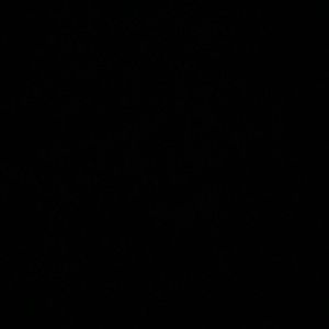 Meet your Posher, Noah